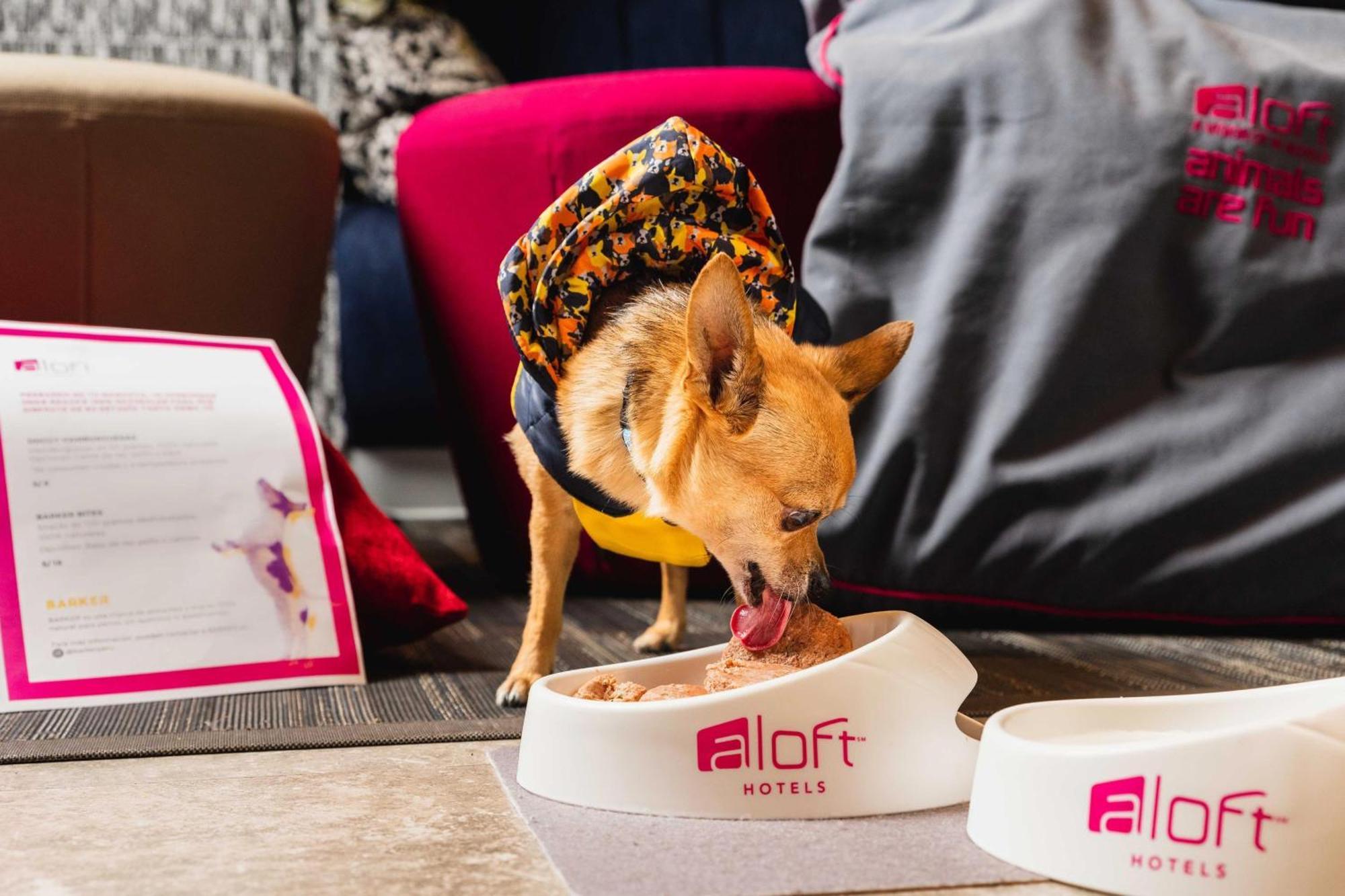 Aloft Lima Miraflores מראה חיצוני תמונה